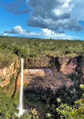Governo publica decretos sobre regularização ambiental 