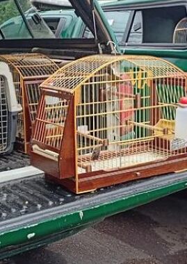 Professor universitário do Araguaia é autuado por fraudar sistema do Ibama